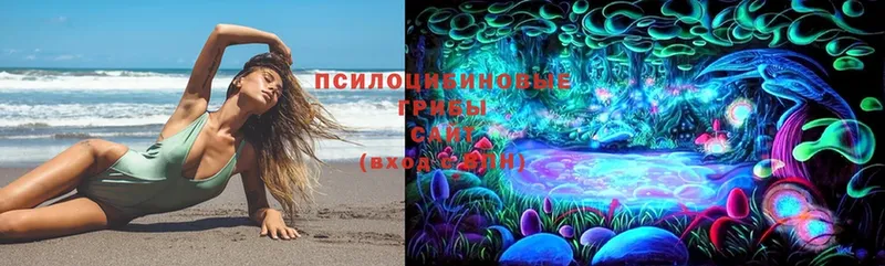 Галлюциногенные грибы Magic Shrooms  Грозный 